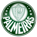 Palmeiras HD_1x1