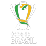 copa do brasil branco